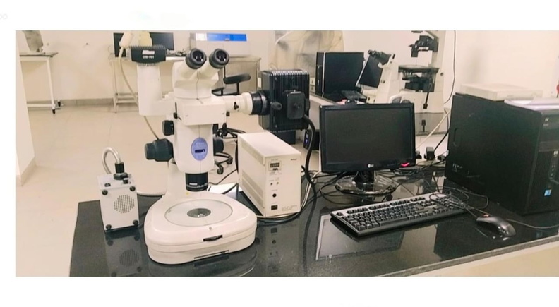 FLSB Labs 5.jpeg