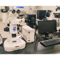 FLSB Labs 5