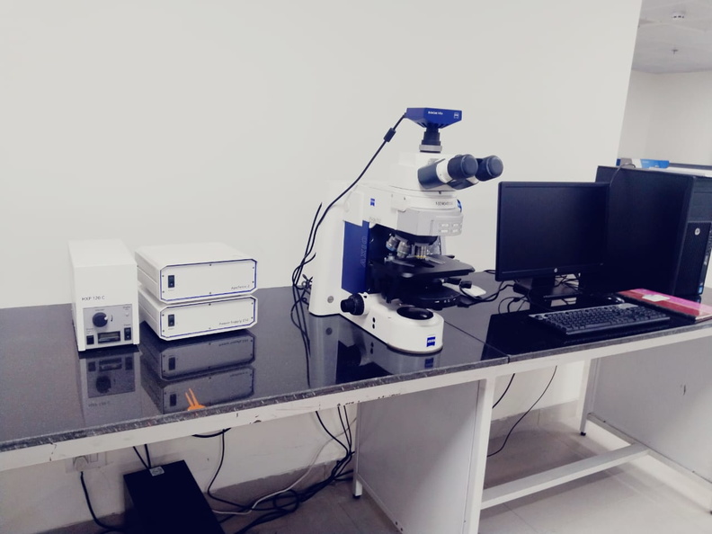 FLSB Labs 7.jpeg
