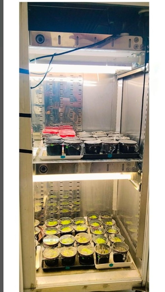 FLSB Labs 3.jpeg